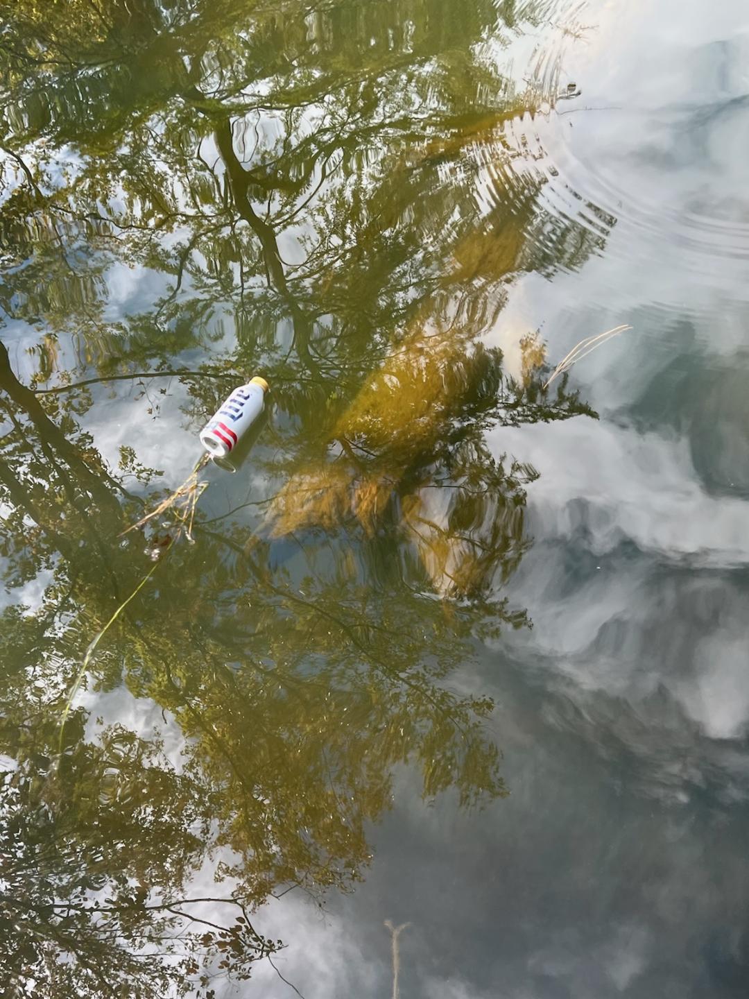 Projects stewards of lake seminole